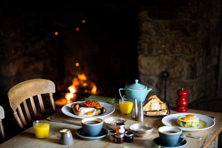 Breakfast Fox 1 768x511