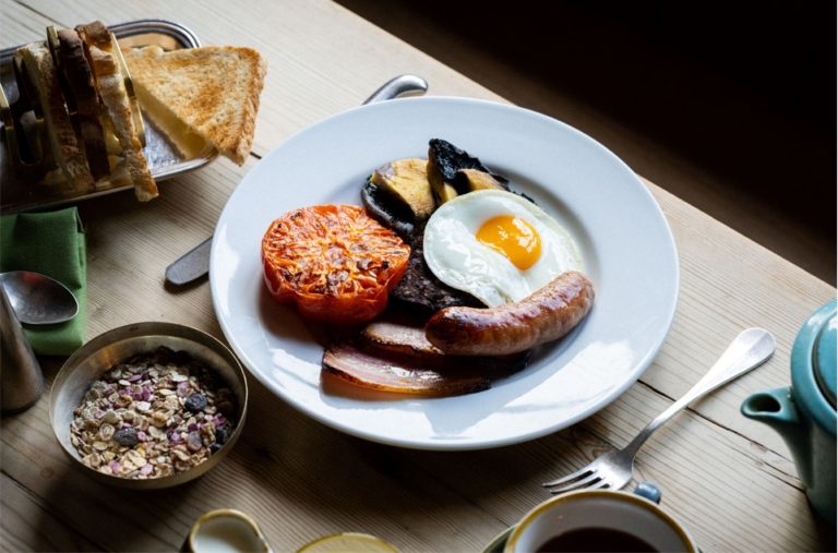 Breakfast Fox 2 768x507