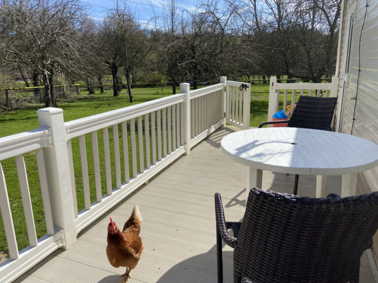 Strongate Cabin 768x576