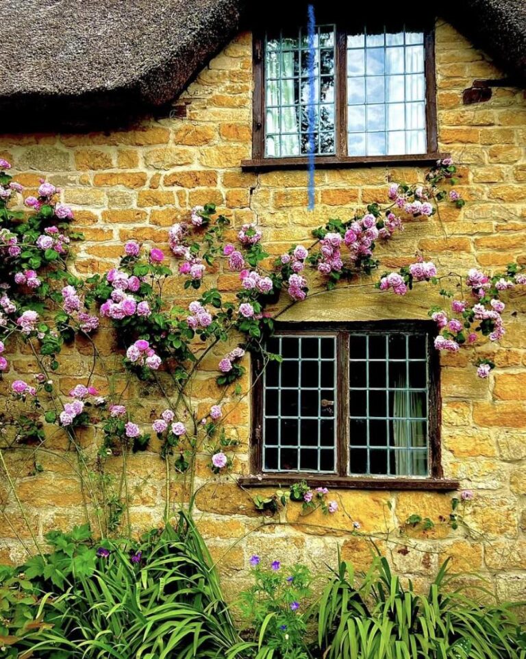 Strongate Cottage 768x962