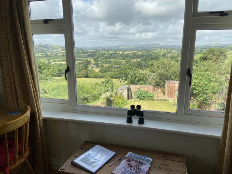 Strongate View 768x576