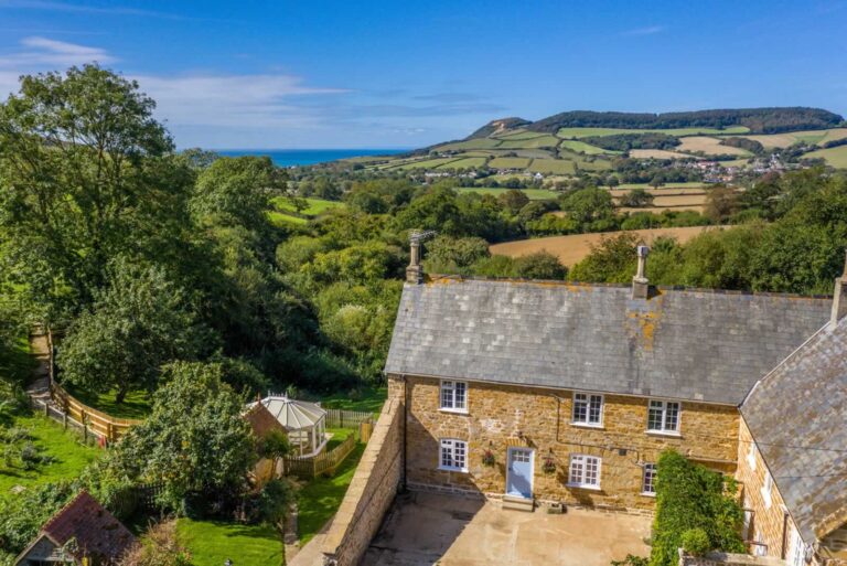 frog by the sea 1 768x513