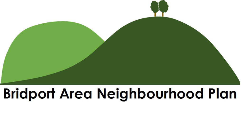 Neighbourhood plan