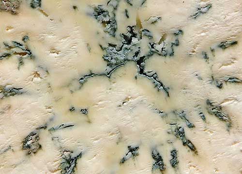 Dorset Blue Vinny Cheese