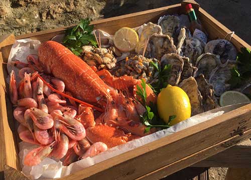 Lyme Bay fish and seafood