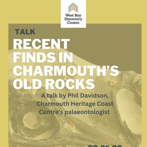 Talk: Recent Finds in Charmouth’s Old Rocks (Wednesday 22 January)