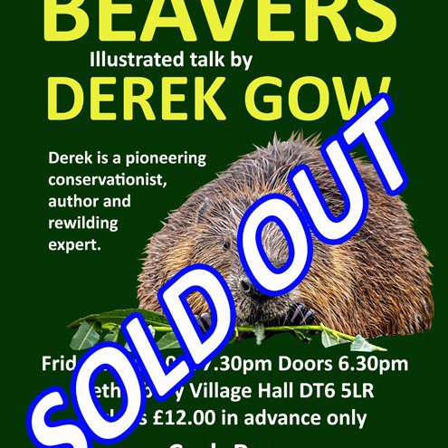 Netherbury Nature Group presents Beavers – Illustrated Talk by Derek Gow (Friday 10 April) SOLD OUT
