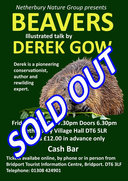 BEAVER SOLD OUT poster
