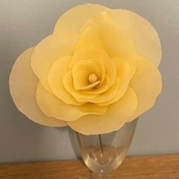 Art In Nature Workshop: Wax Flowers (Friday 27 March)