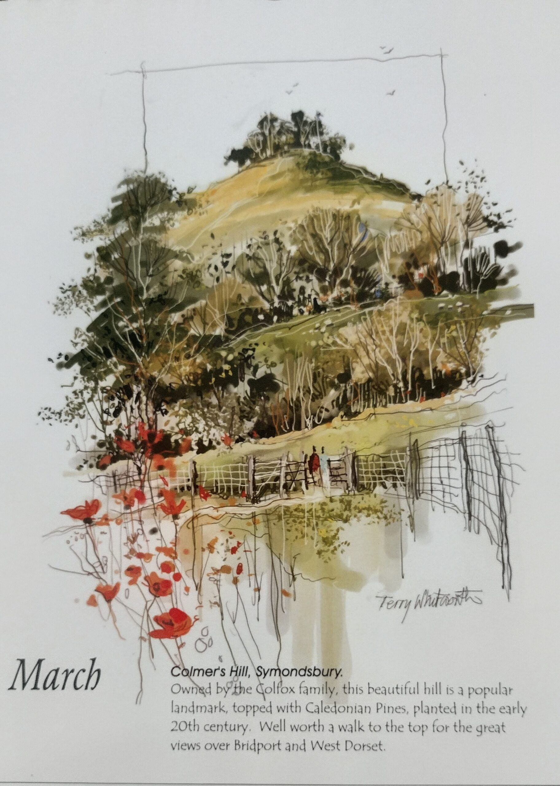 Sketchbook Calendar of Bridport 2027 by Terry Whitworth - Image 5