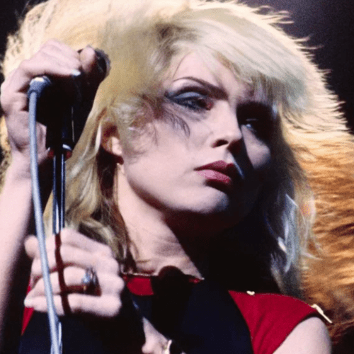 Bridport Arts Centre | Exhibition | Adrian Boot’s Punk Bridport
