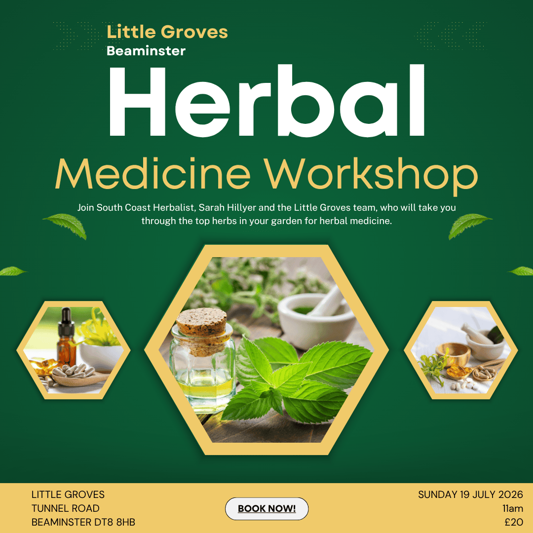 Herbal Medicine Workshop