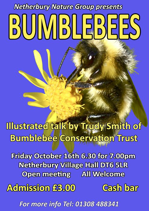 BUMBLE POSTER WEB