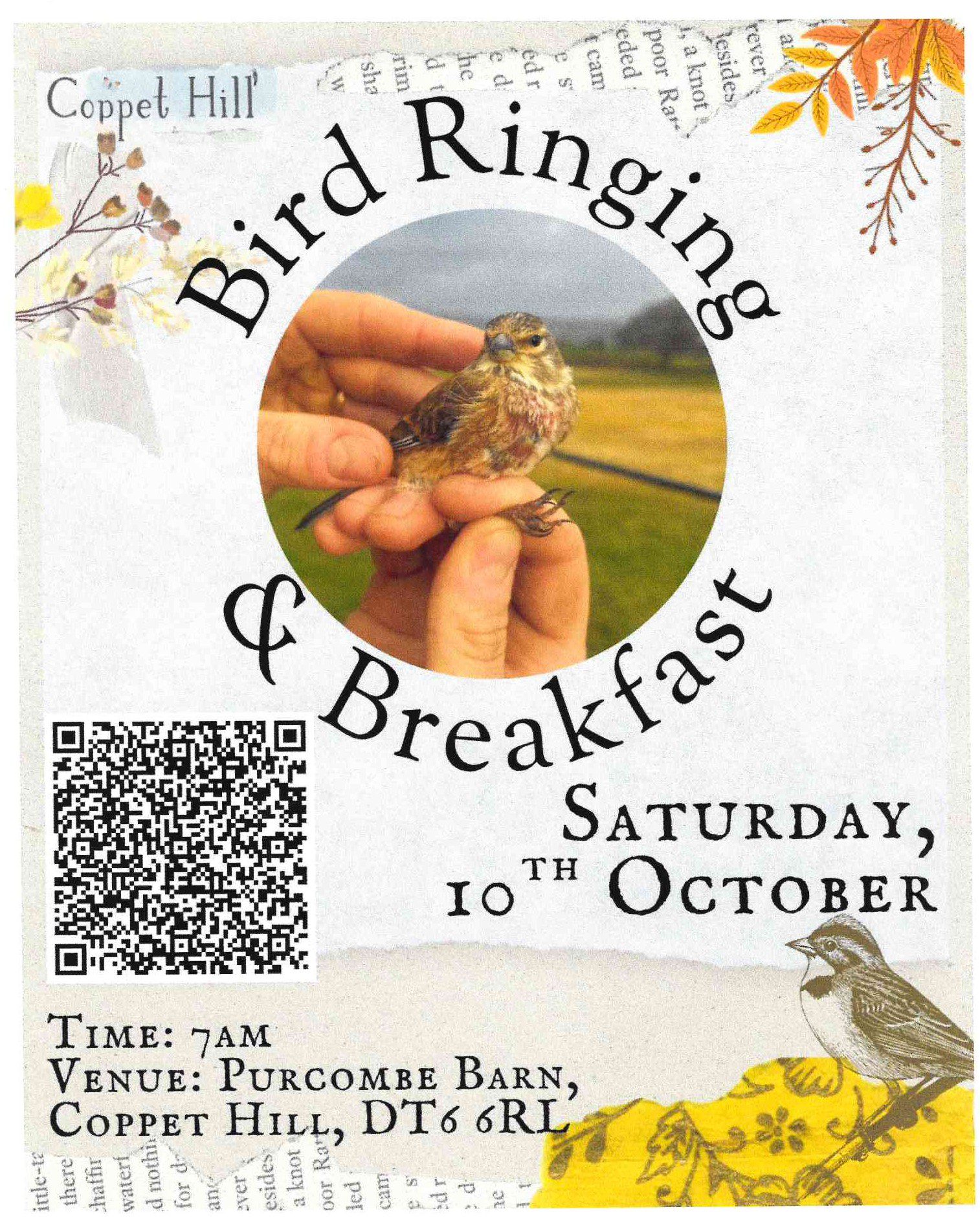 Bird Ringing and Breakfast