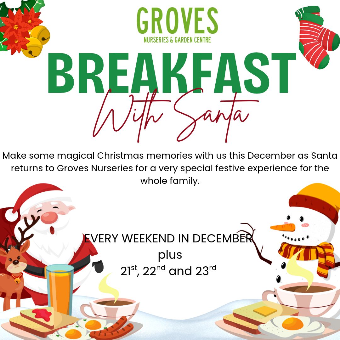 Groves Santa